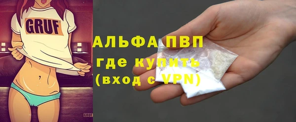 дживик Пересвет
