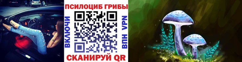 наркота  Семикаракорск  Псилоцибиновые грибы ЛСД 